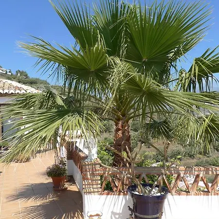 Balcon De Punta Lara Nerja